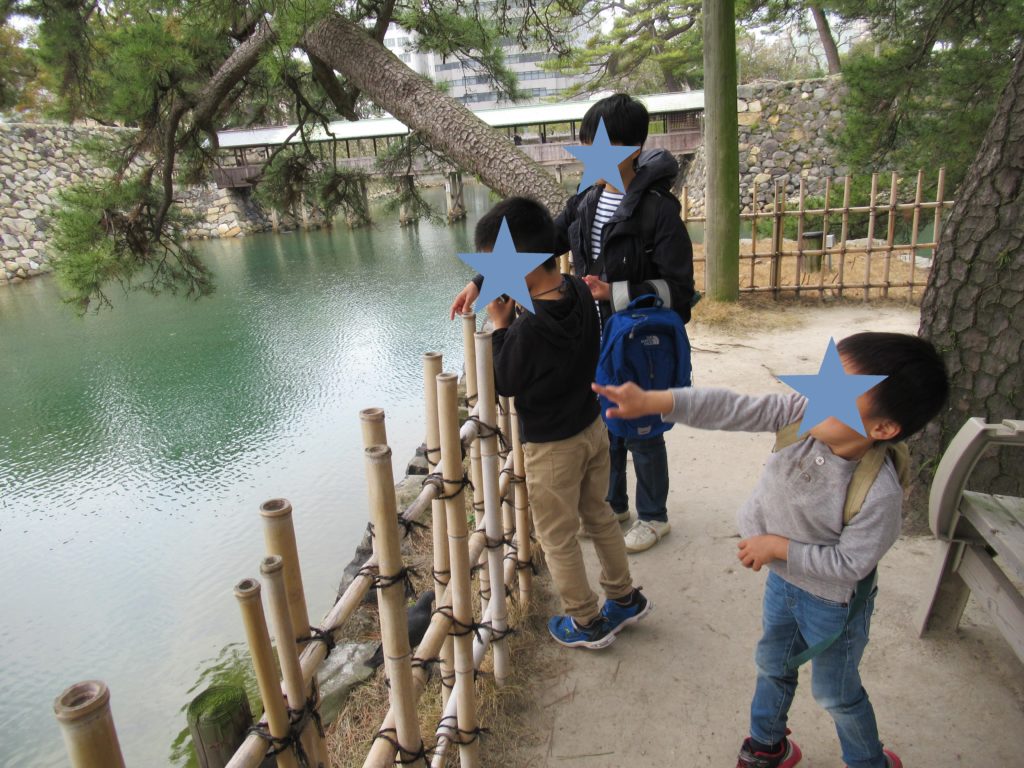 高松城で鯛に餌やり