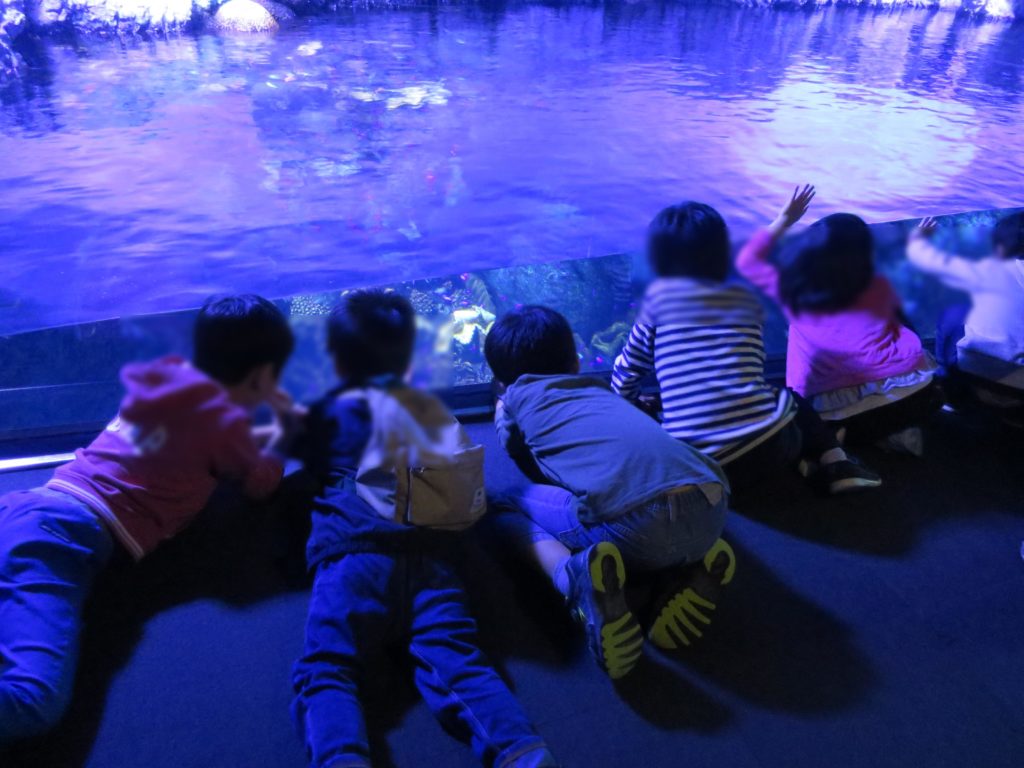 海遊館おとまりスクールの様子
