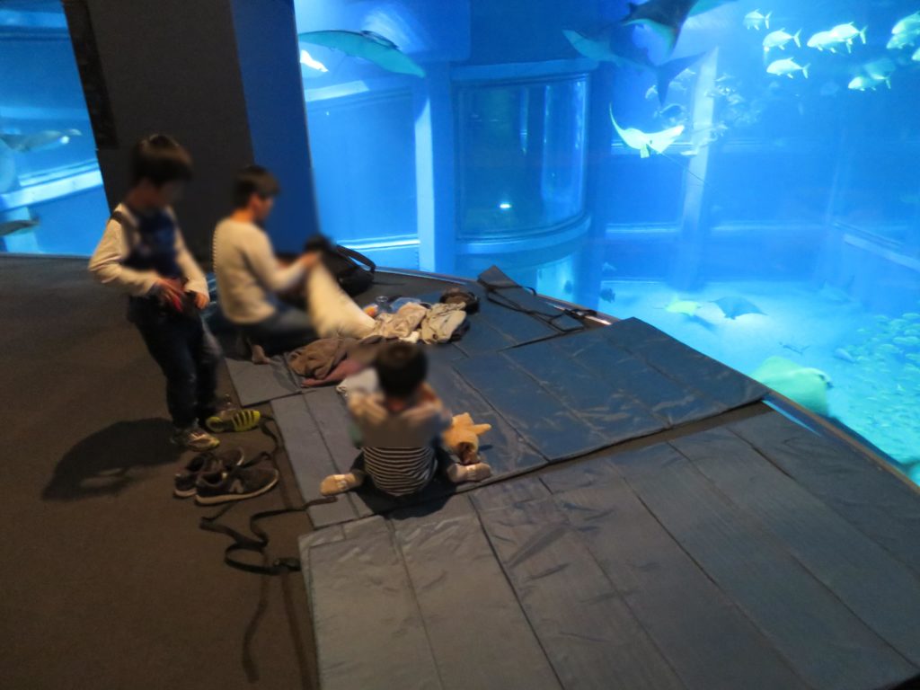 海遊館おとまりスクールの寝る場所
