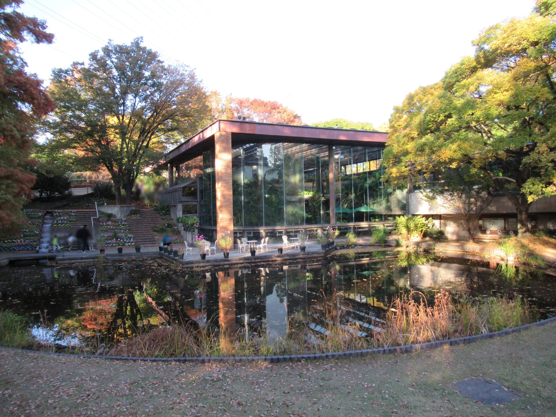 服部緑地の植物園 都市緑化植物園は紅葉が美しい | 本好きに育てる