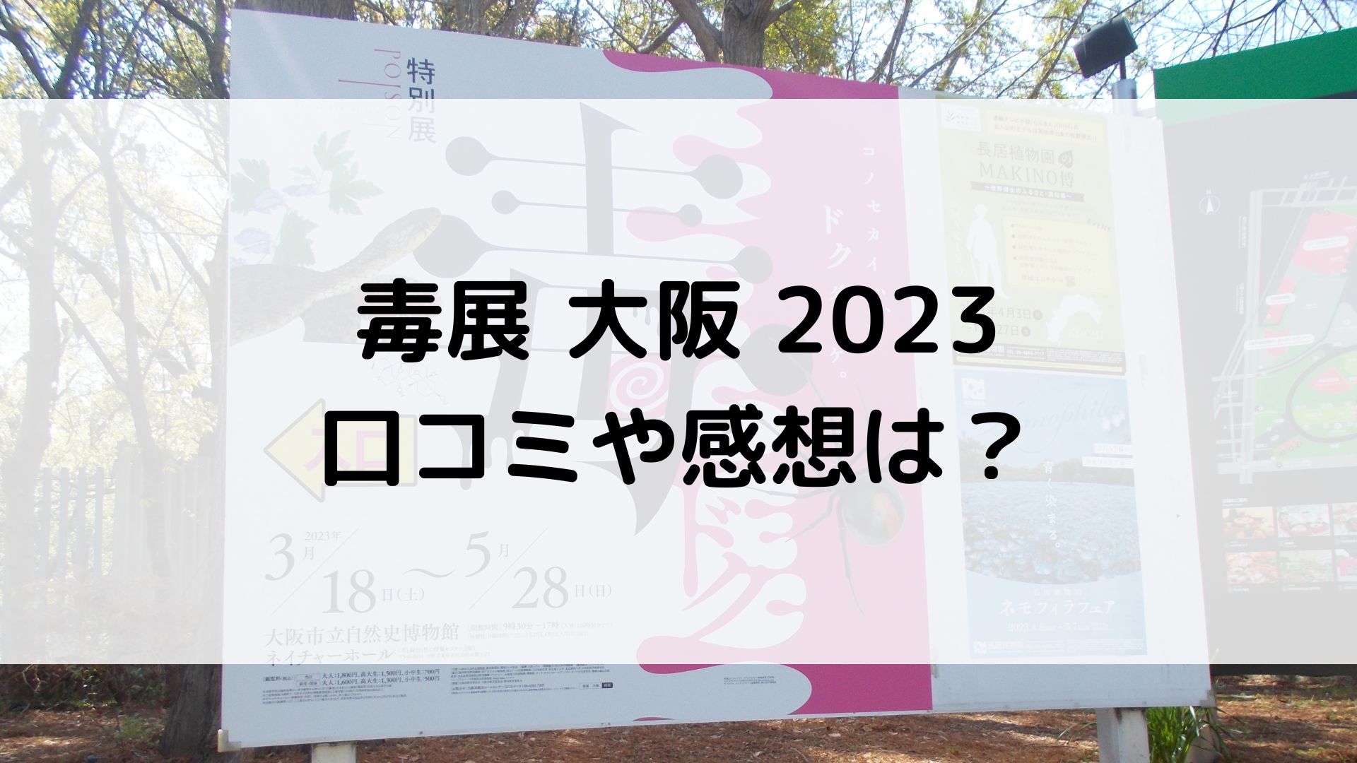 毒展　大阪　2023　感想　口コミ